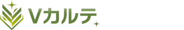 Vカルテ